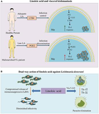 Linoleic Acid—A Feasible Preventive Approach for Visceral Leishmaniasis